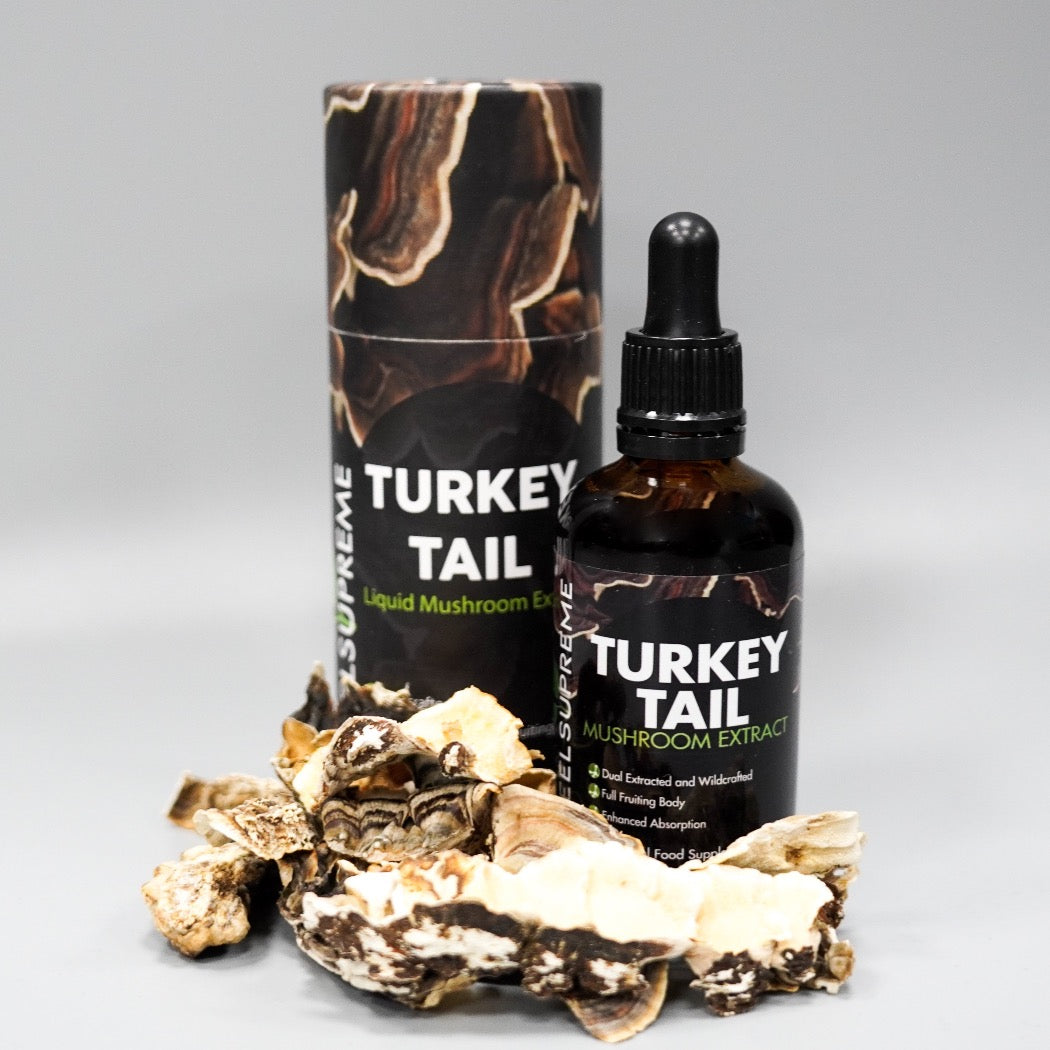 Organic Turkey Tail Tincture