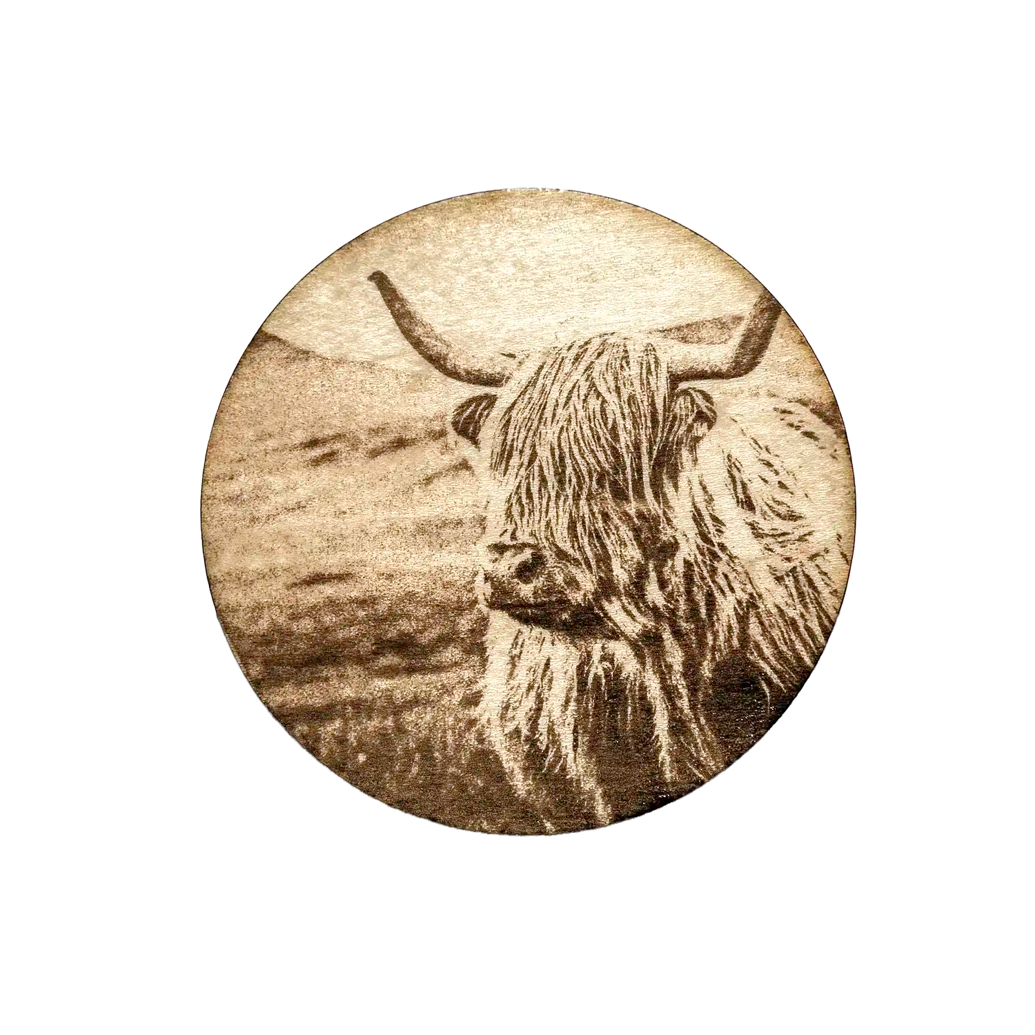 Scottish HIghland Cow Laser Engraved Coaster