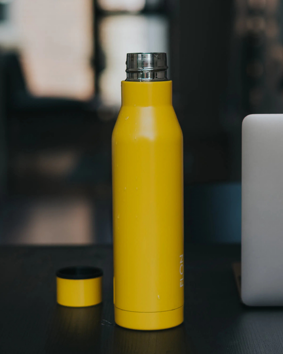 Insulated Stainless Steel Water Bottle